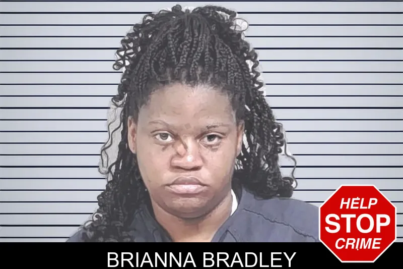 Brianna Bradley mugshot – Lowndes County , Georgia Brianna Bradley mugshot