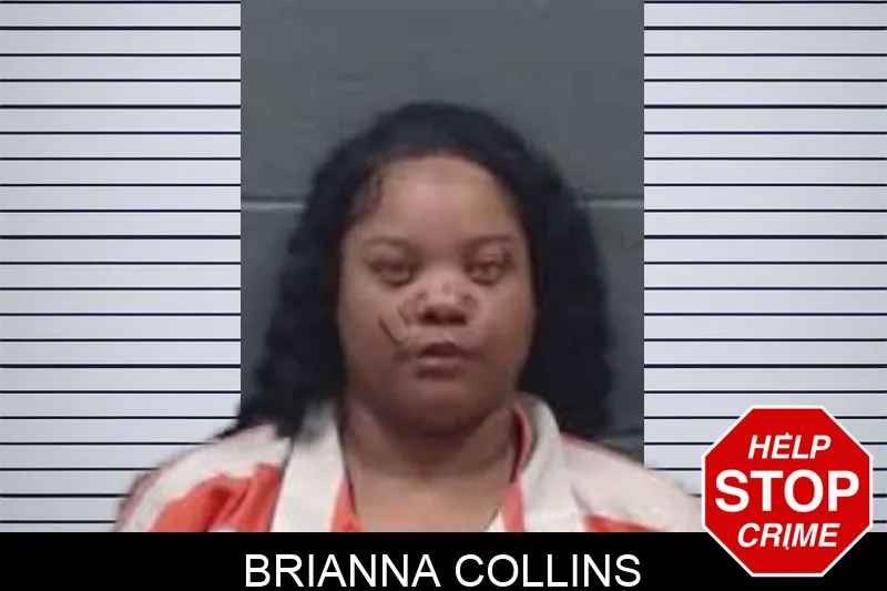 Brianna Collins mugshot – Oglethorpe County , Georgia Brianna Collins mugshot