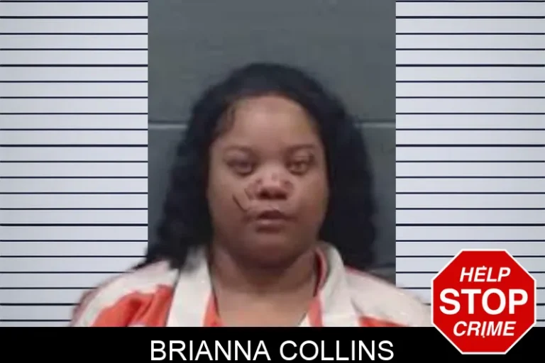 Brianna Collins mugshot – Oglethorpe County , Georgia Brianna Collins