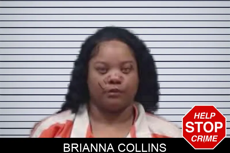 Brianna Collins mugshot
