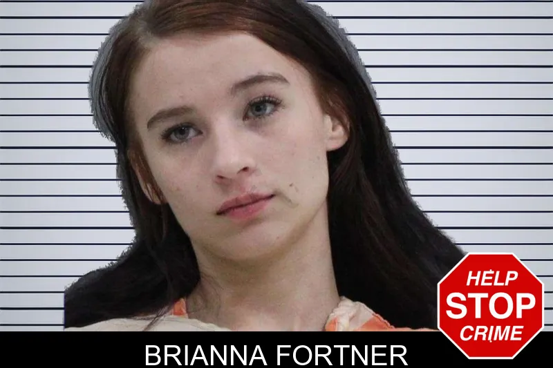 Brianna Fortner mugshot – Rabun County , Georgia Brianna Fortner mugshot