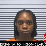 Brianna Johnson-Clark mugshot
