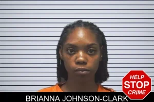 Brianna Johnson-Clark mugshot