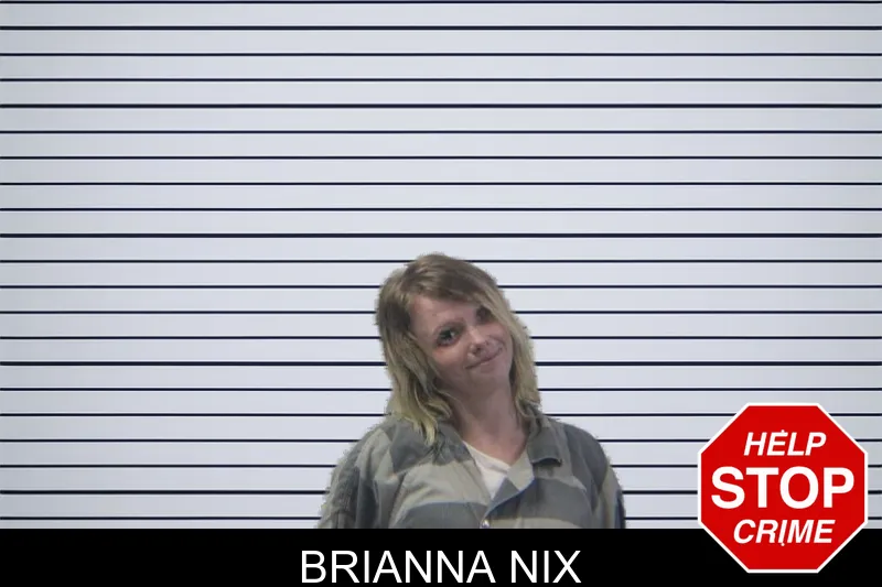 Brianna Nix mugshot