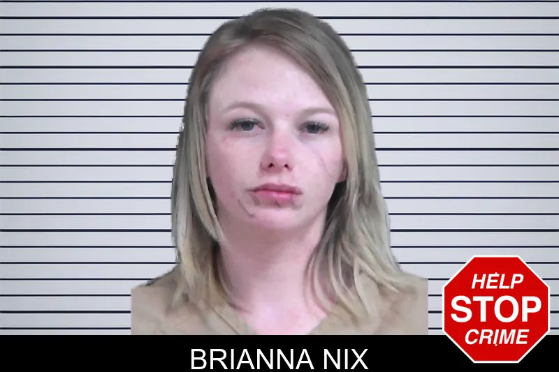 Brianna Nix mugshot