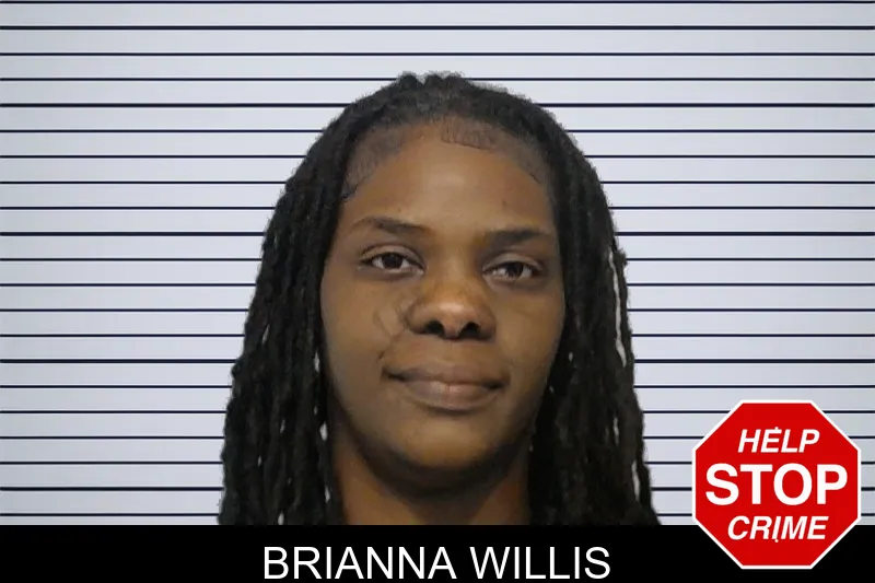 Brianna Willis mugshot