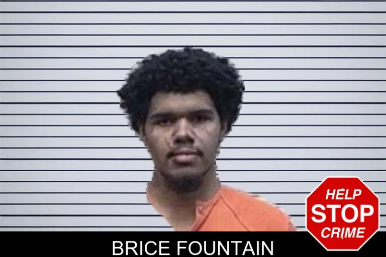 Brice Fountain