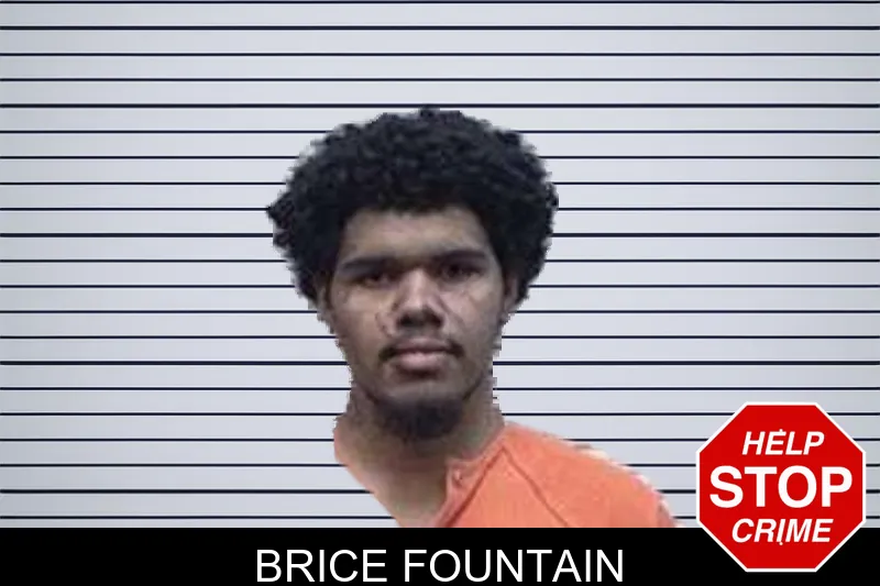 Brice Fountain mugshot