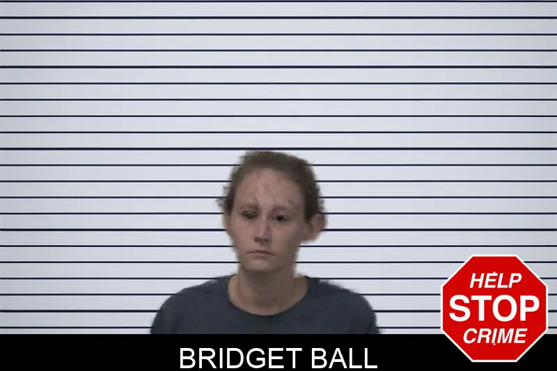 Bridget Ball mugshot
