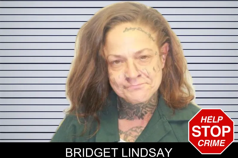 Bridget Lindsay mugshot