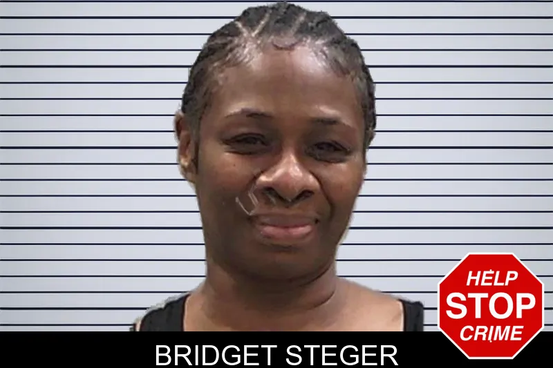 Bridget Steger mugshot