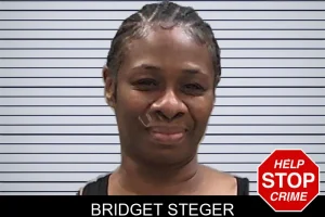 Bridget Steger mugshot