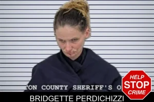Bridgette Perdichizzi mugshot