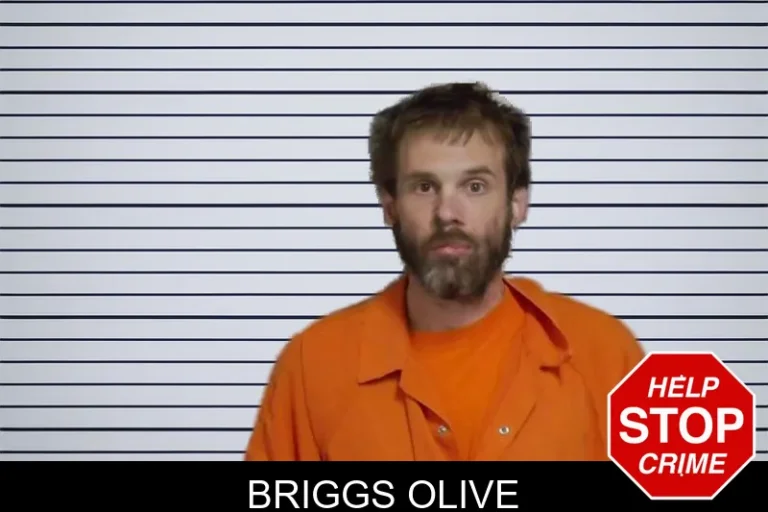 Briggs Olive mugshot – Candler County , Georgia Briggs Olive