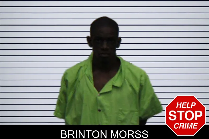 Brinton Morss mugshot