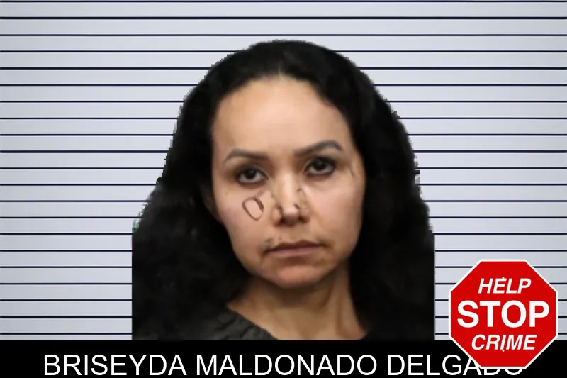 Briseyda Maldonado Delgado mugshot