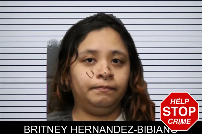 Britney Hernandez-Bibiano mugshot