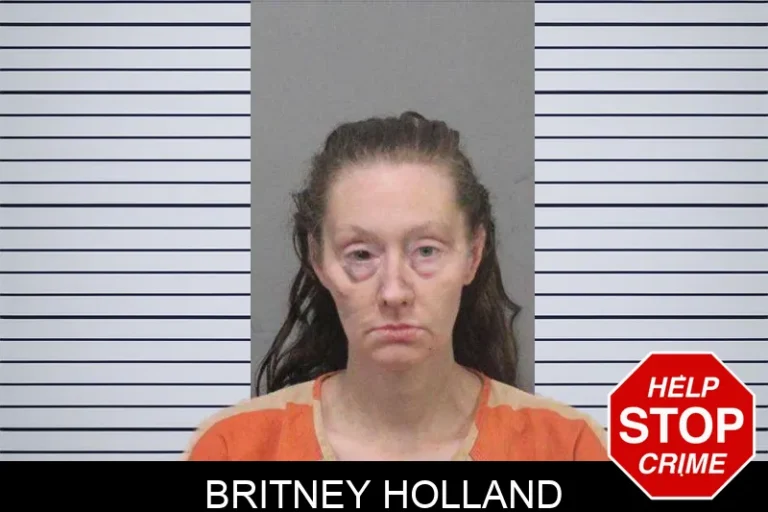 Britney Holland mugshot – White County , Georgia Britney Holland