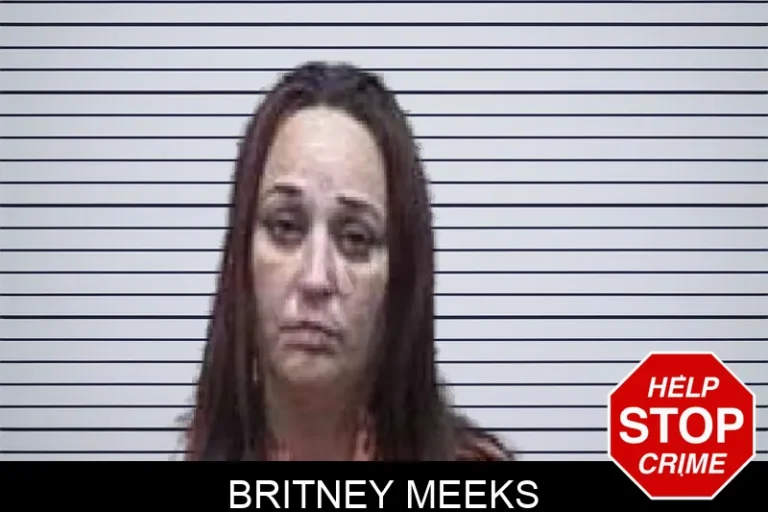 Britney Meeks mugshot – Tattnall County , Georgia Britney Meeks