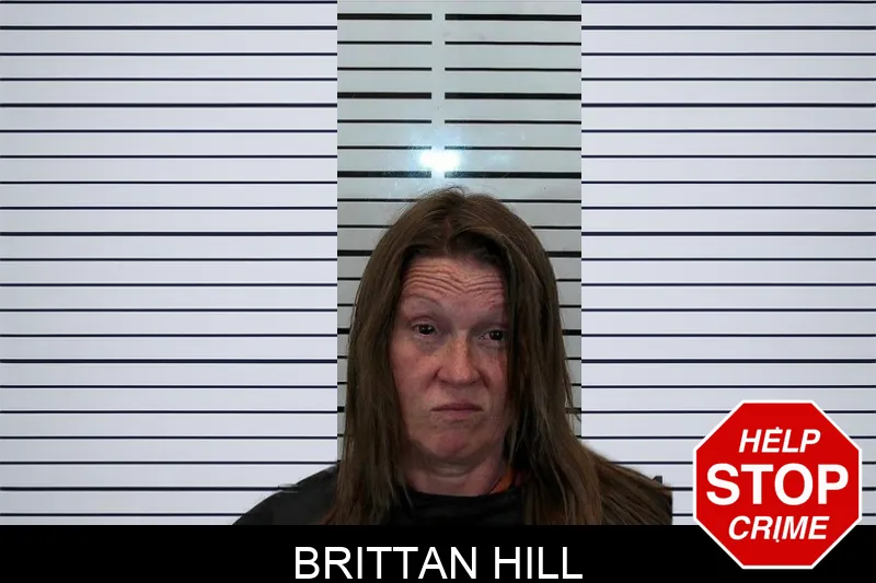 Brittan Hill mugshot