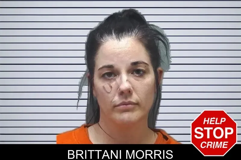 Brittani Morris mugshot