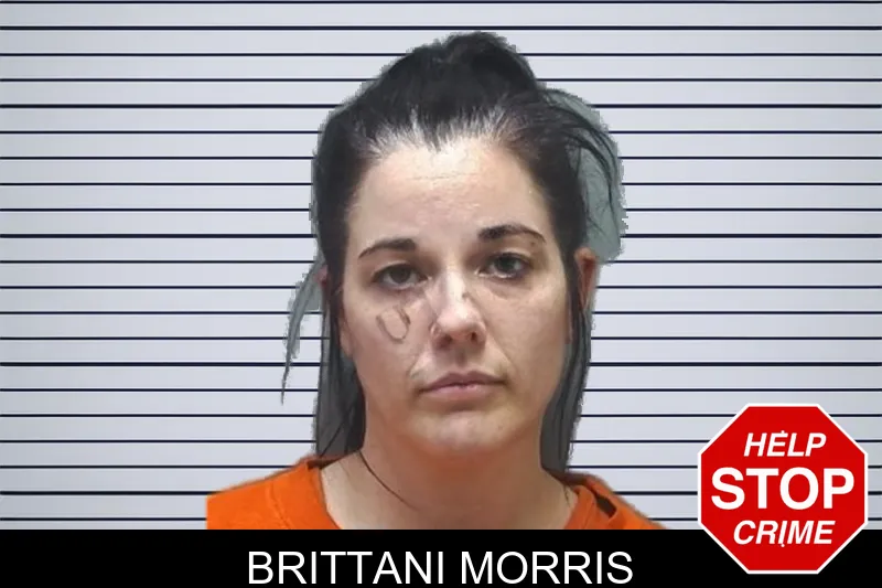 Brittani Morris mugshot