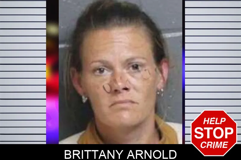 Brittany Arnold mugshot – Bacon County , Georgia Brittany Arnold mugshot