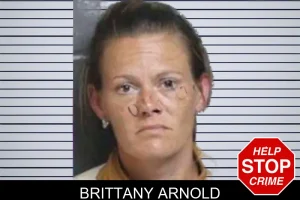Brittany Arnold mugshot