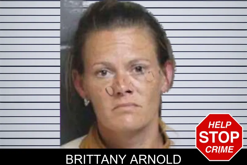 Brittany Arnold mugshot