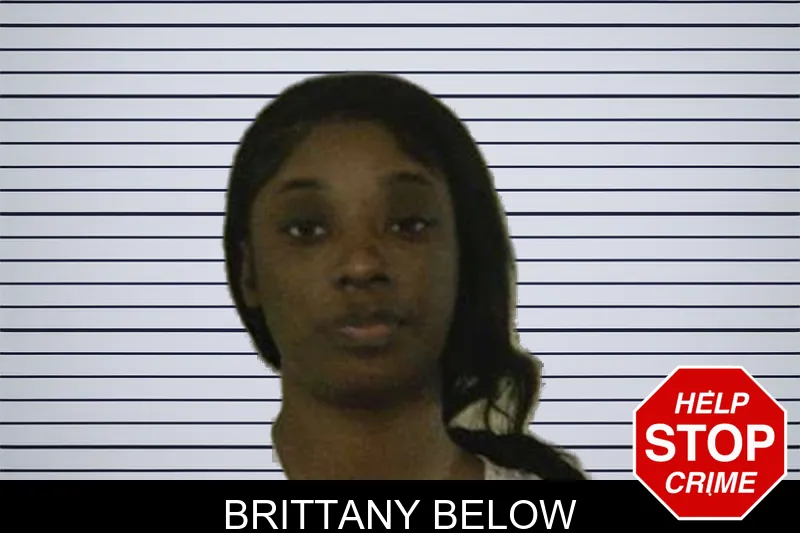 Brittany Below mugshot – Liberty County , Georgia Brittany Below mugshot