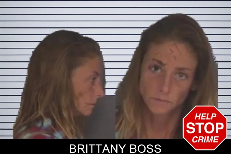 Brittany Boss mugshot – Barrow County , Georgia Brittany Boss mugshot