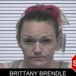 Brittany Brendle mugshot