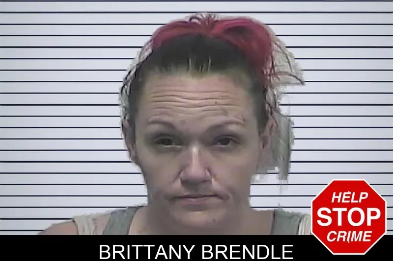 Brittany Brendle mugshot
