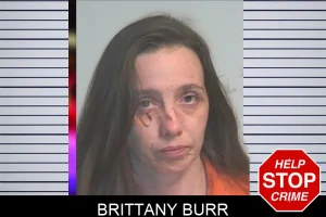 Brittany Burr mugshot