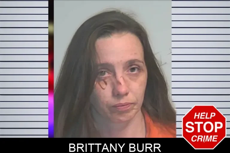 Brittany Burr