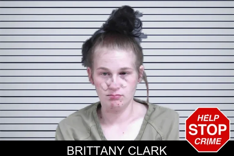 Brittany Clark mugshot – Gordon County , Georgia Brittany Clark