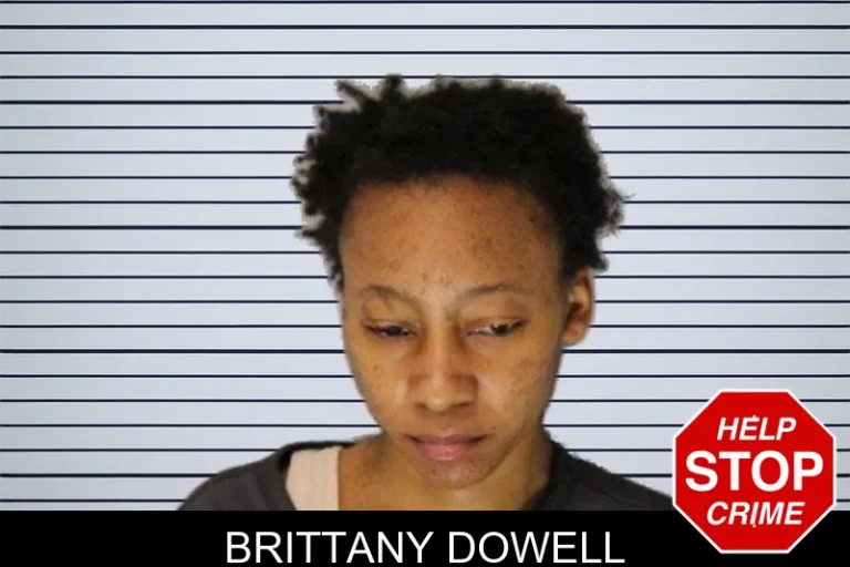 Brittany Dowell mugshot โ Hall County , Georgia Brittany Dowell
