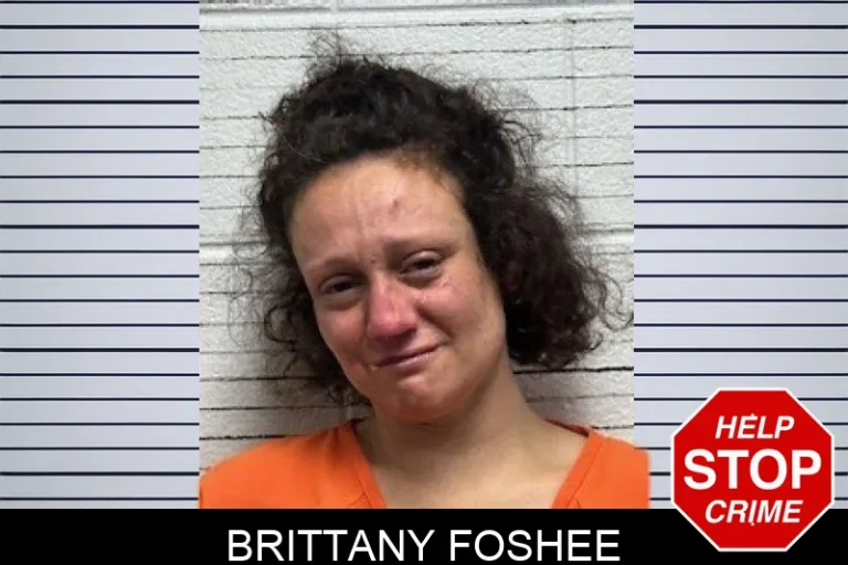 Brittany Foshee mugshot – Dade County , Georgia Brittany Foshee