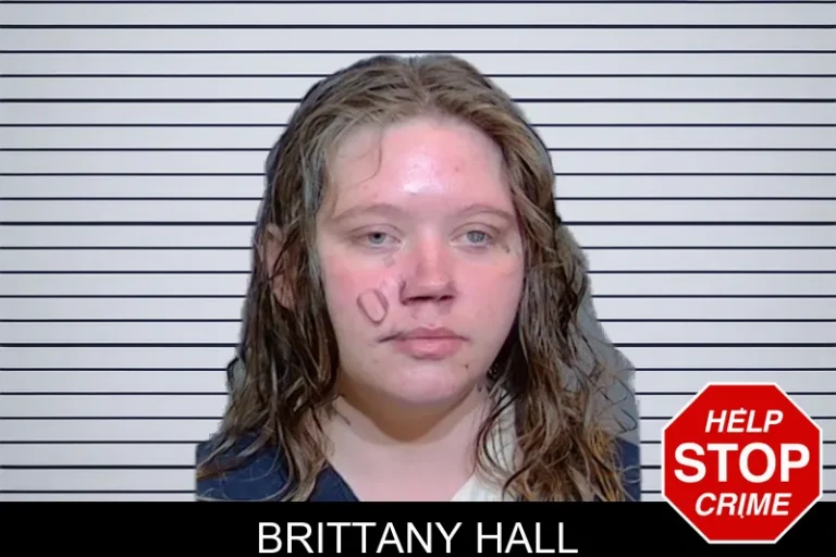 Brittany Hall mugshot – Glynn County , Georgia Brittany Hall
