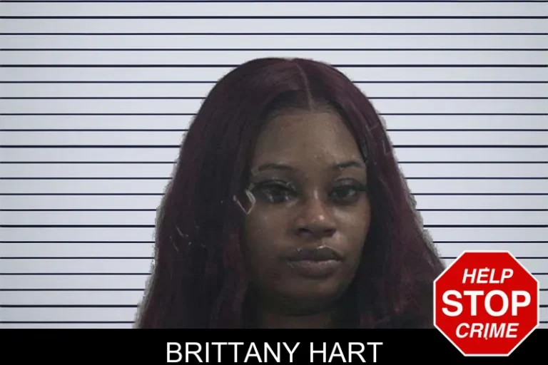 Brittany Hart mugshot – McDuffie County , Georgia Brittany Hart
