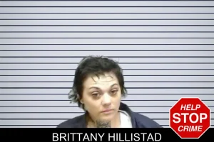 Brittany Hillistad mugshot