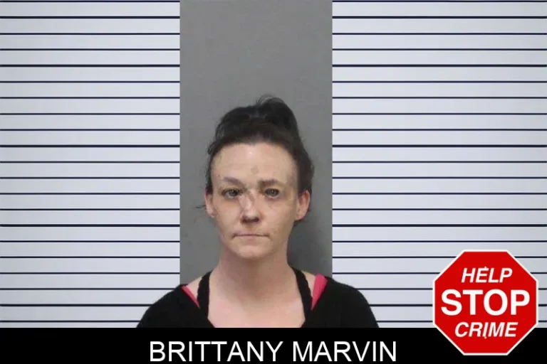 Brittany Marvin mugshot – White County , Georgia Brittany Marvin