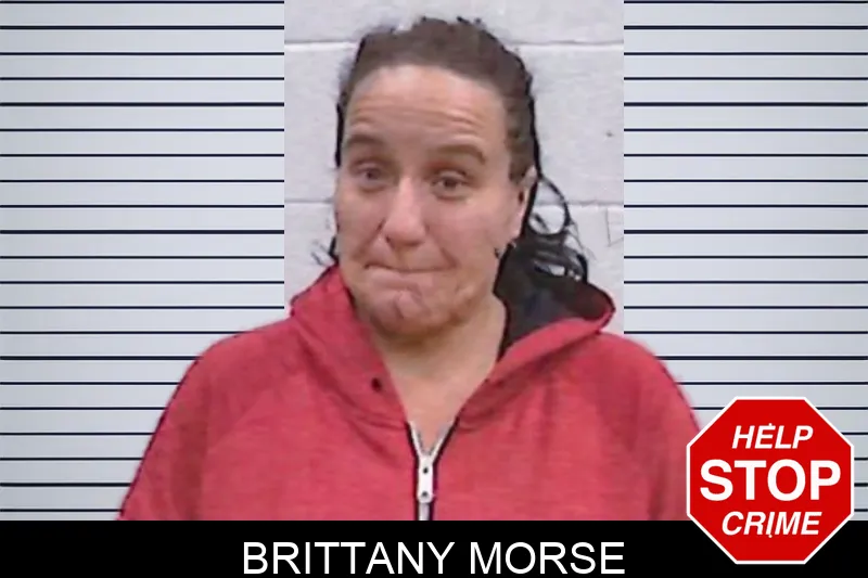 Brittany Morse mugshot – Screven County , Georgia Brittany Morse mugshot