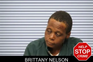 Brittany Nelson mugshot