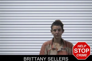 Brittany Sellers mugshot