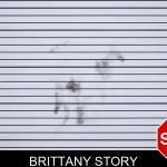 Brittany Story mugshot