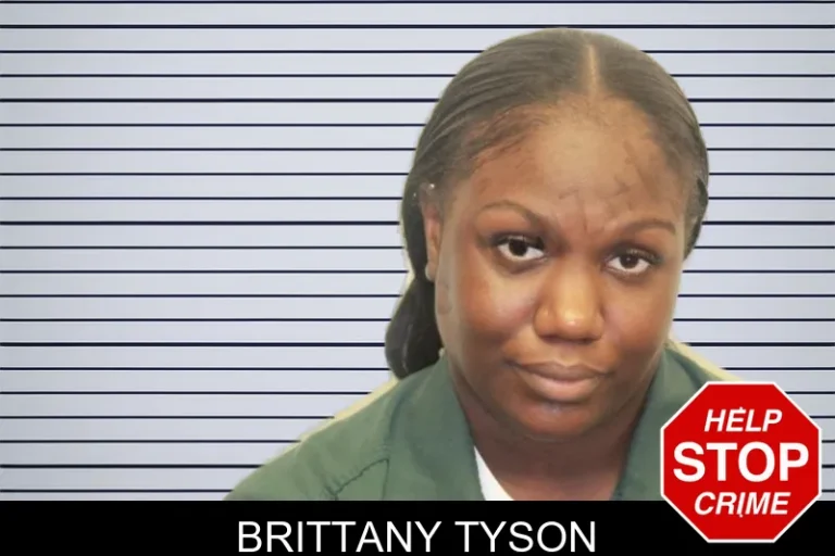 Brittany Tyson mugshot – Effingham County , Georgia Brittany Tyson