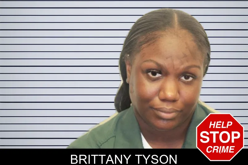 Brittany Tyson mugshot – Effingham County , Georgia Brittany Tyson mugshot