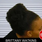 Brittany Watkins mugshot