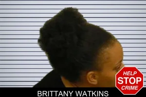 Brittany Watkins mugshot